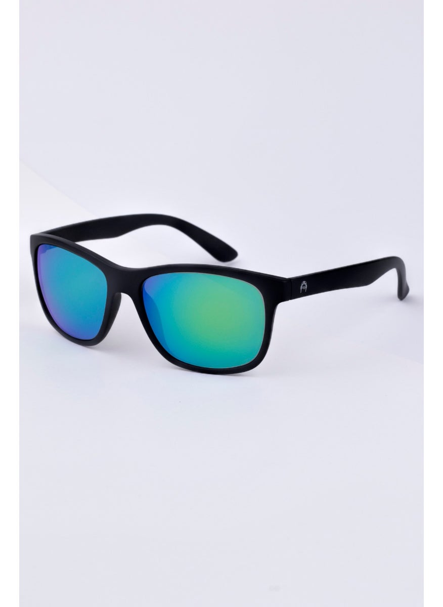 Focus On Men's Sunglasses 