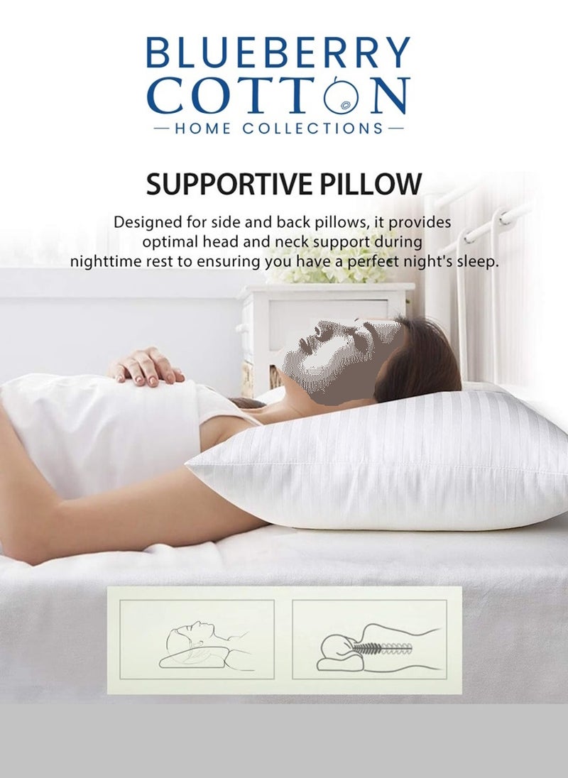 Blueberry - Pack of 2 Comfortable StripeCotton Hotel Pillow Microfiber 50x70 Made in Uae - Image 1