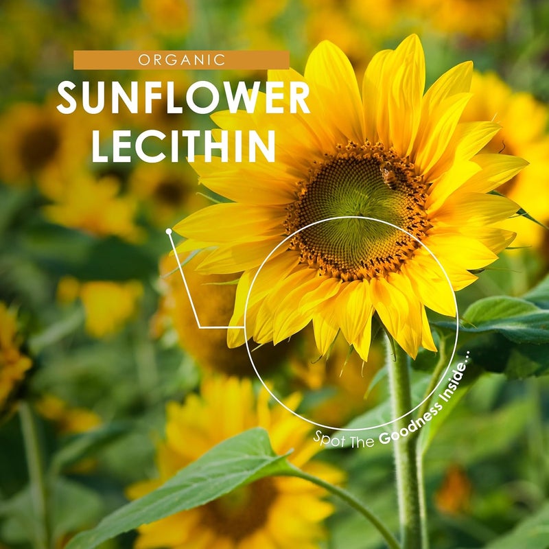 ALPHA01 Sunflower Lecithin Powder 100g â€“ De-Oiled 97% Essential Fat â€“ Premium Quality â€“ Resealable and Recyclable Pouch by Alpha01 - Image 4