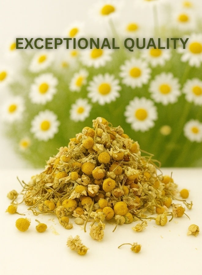 زهر زهور البابونج المجففة الطبيعية | نقية ١٠٠٪، مصنّفة يدويًا | شاي أعشاب، مخبوزات، عناية بالبشرة، وعلاج بالروائح - Image 3
