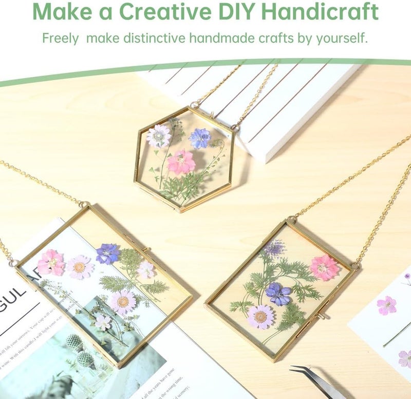 3-Piece DIY Pressed Flower Glass Frames with Golden Brass Hanging Chains for Wall Display - Image 2