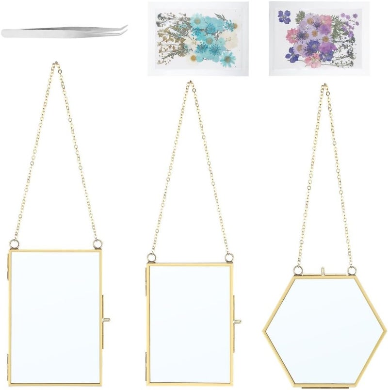 3-Piece DIY Pressed Flower Glass Frames with Golden Brass Hanging Chains for Wall Display - Image 3