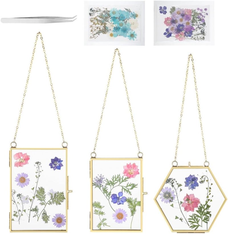 3-Piece DIY Pressed Flower Glass Frames with Golden Brass Hanging Chains for Wall Display - Image 1