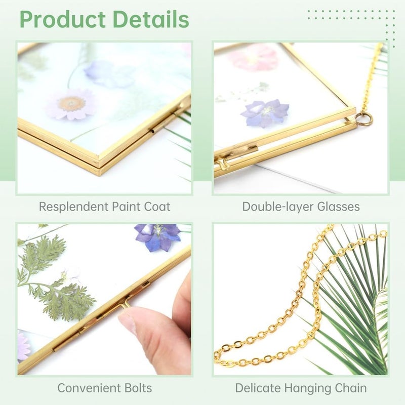 3-Piece DIY Pressed Flower Glass Frames with Golden Brass Hanging Chains for Wall Display - Image 4