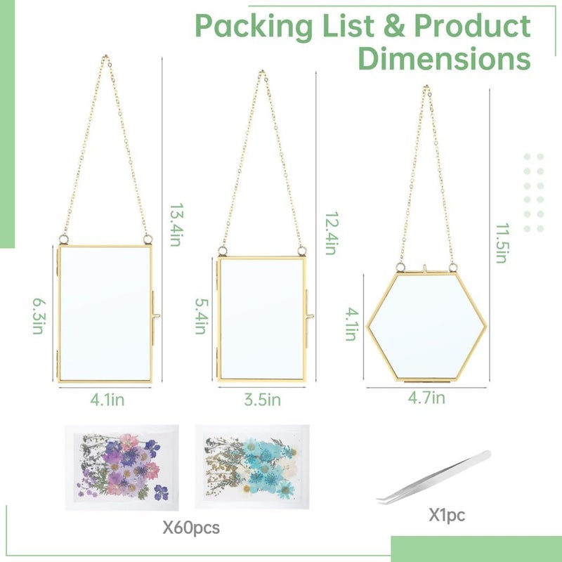 3-Piece DIY Pressed Flower Glass Frames with Golden Brass Hanging Chains for Wall Display - Image 5