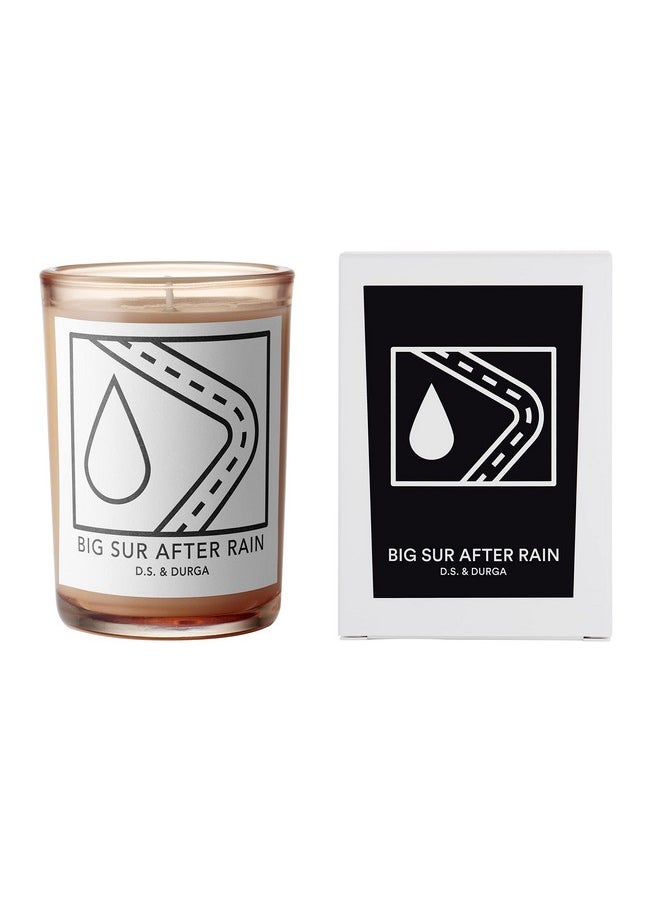 D.S. & DURGA D.S. & Durga Big Sur After Rain Candle - 7 oz  - Image 2