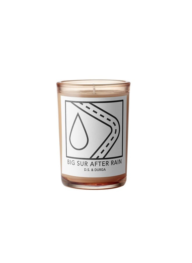 D.S. & DURGA D.S. & Durga Big Sur After Rain Candle - 7 oz  - Image 1