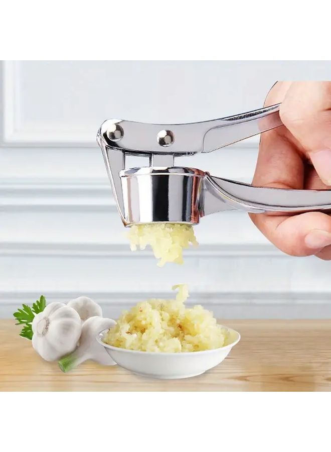 Mash The Garlic Artifact Premium Stainless Steel Garlic Press Easy Clean Durable Ginger Crusher Ergonomic Handle - Image 1