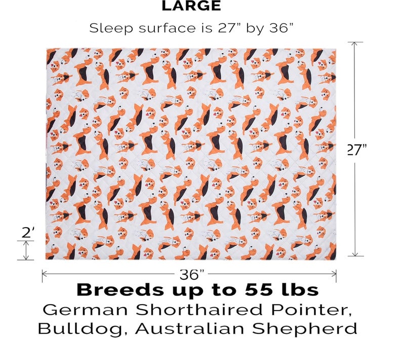 AAZEEM Dog Beds for Large Dogs, Small, Medium and Large Waterproof Dog Bed with Removable Washable Cover & Anti-Slip Bottom | Golden Color | 24 X 32 Inches | - Image 4