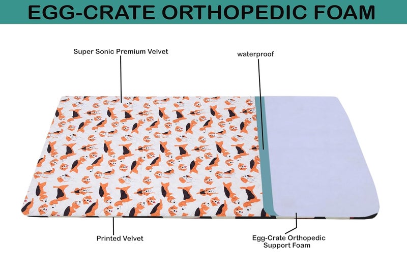 AAZEEM Dog Beds for Large Dogs, Small, Medium and Large Waterproof Dog Bed with Removable Washable Cover & Anti-Slip Bottom | Golden Color | 24 X 32 Inches | - Image 2