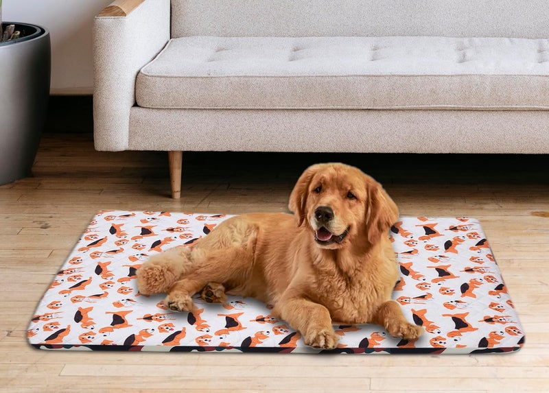 AAZEEM Dog Beds for Large Dogs, Small, Medium and Large Waterproof Dog Bed with Removable Washable Cover & Anti-Slip Bottom | Golden Color | 24 X 32 Inches | - Image 1