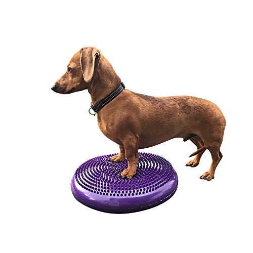 DEZAL Dog Balance Disc Cushion 14" - With 2 Exercises and Pump - Dog rehab Exercise Strength Endurance Conditioning Fitness Flexibility Rehabilitation Physical Training Tool for Senior Dogs - Image 1