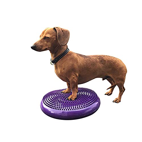 DEZAL Dog Balance Disc Cushion 14" - With 2 Exercises and Pump - Dog rehab Exercise Strength Endurance Conditioning Fitness Flexibility Rehabilitation Physical Training Tool for Senior Dogs - Image 4
