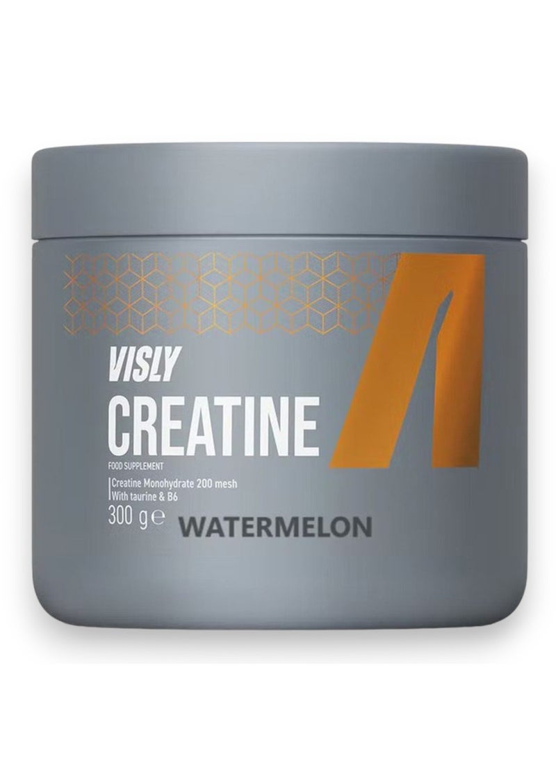 VISLY Creatine, Watermelon Flavour, 300gm, 60 servings