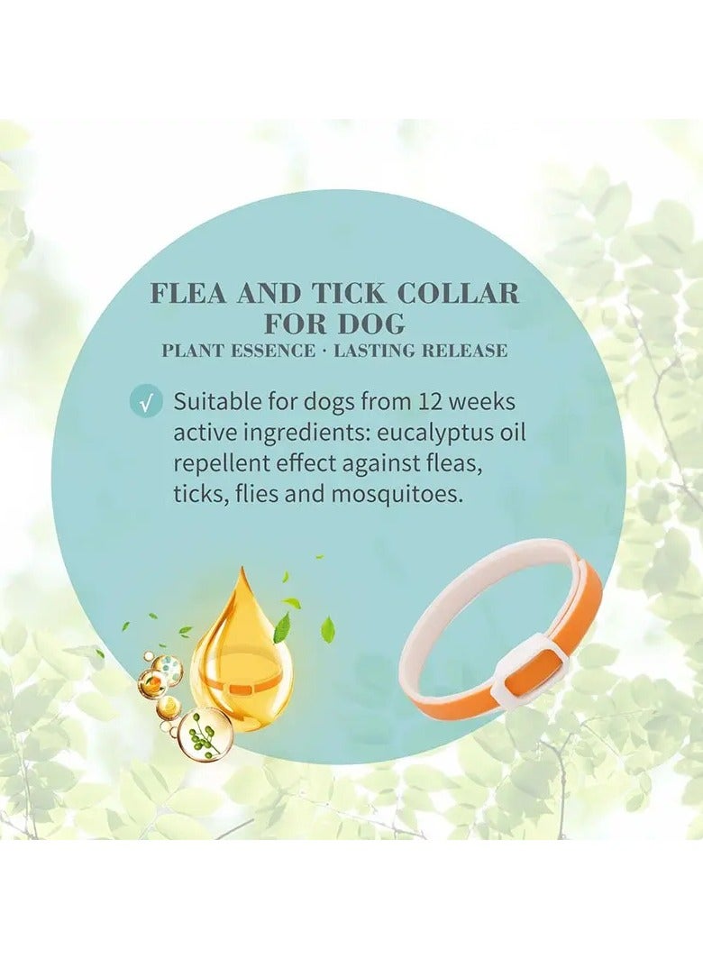 بايولاين طوق بيولاين للكلاب ضد البراغيث والقراد بطول 60 سم [نكهة الكينا والليمون] - Image 2
