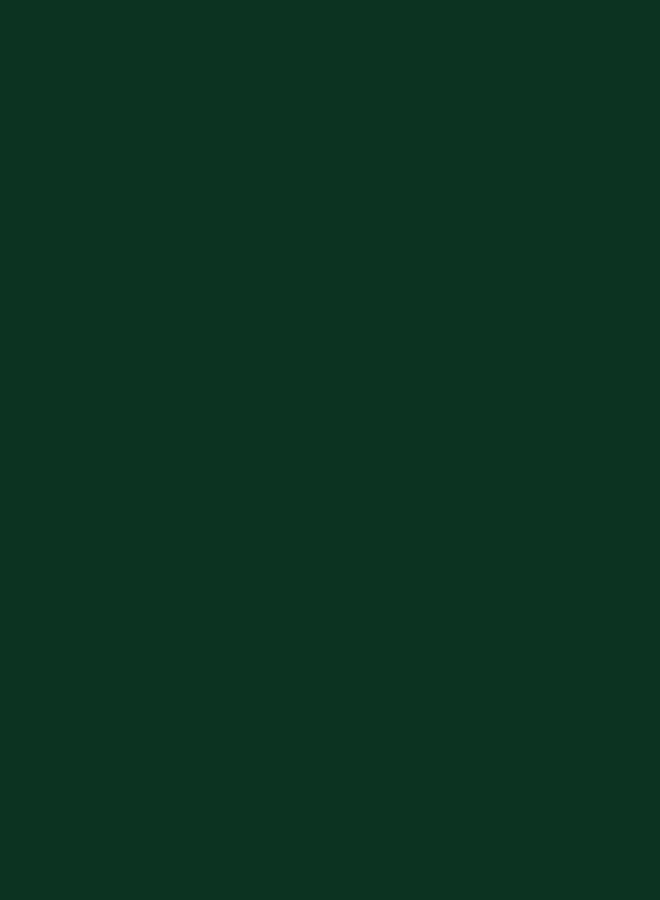 Diamine 30ml Green/Black fountain pen ink bottle - Image 2