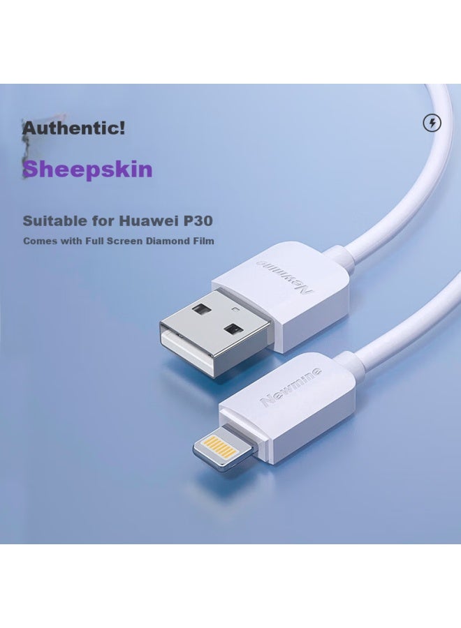 Newmine Apple Charger Set, 5v/2a Fast Power Adapter, Compatible With Apple Iphone 14-8, Ipad And Other Devices - Image 3