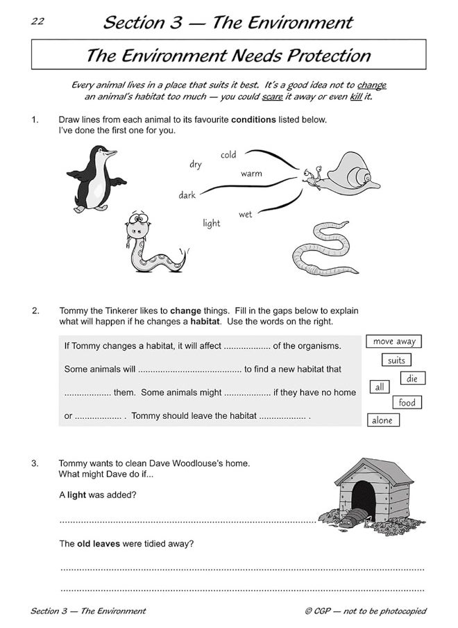 KS2 Science Year Four Workout: Living Things & Habitats  - Image 4