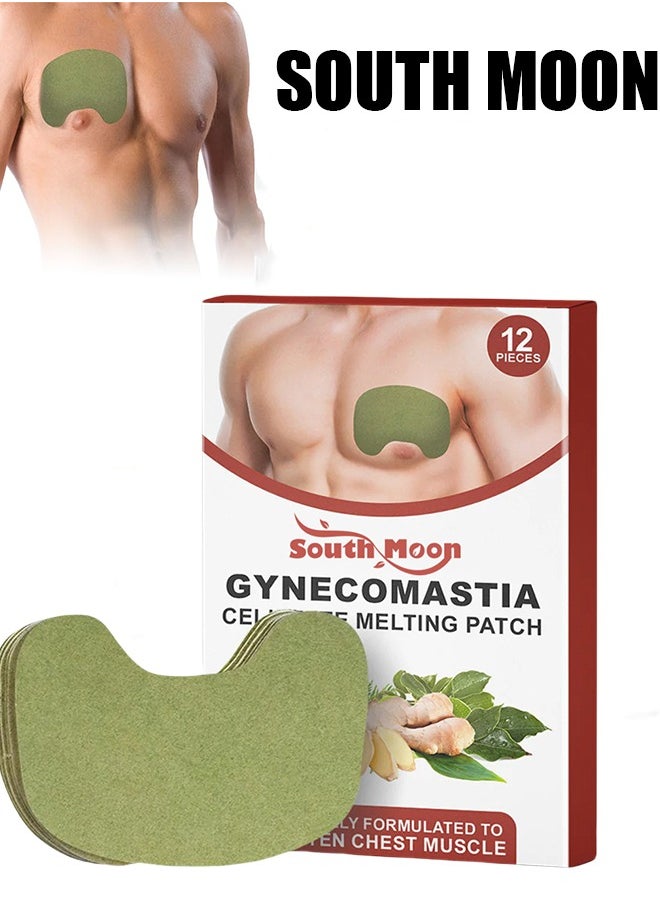 SOUTH MOON 12 PCS Gynecomastia Compress Patch, Gynecomastia Plasters for Men,Gynecomastia Tightening Ginger Patch,Chest Belly Fat Tightening Patch, Anti Cellulite Patch for Gynecomastia  - Image 1