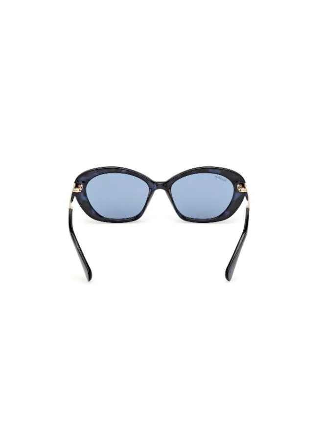 MAXCO  SG-coloured havana / blue-F for Women | Best Price UAE