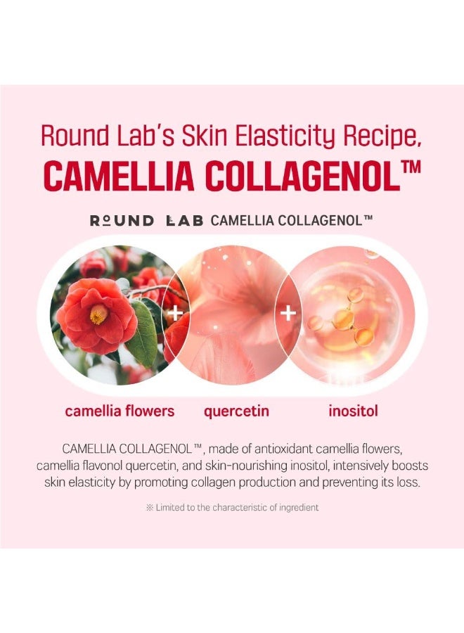 ROUND LAB Camellia Deep Collagen Firming Cream 50ml - Image 4