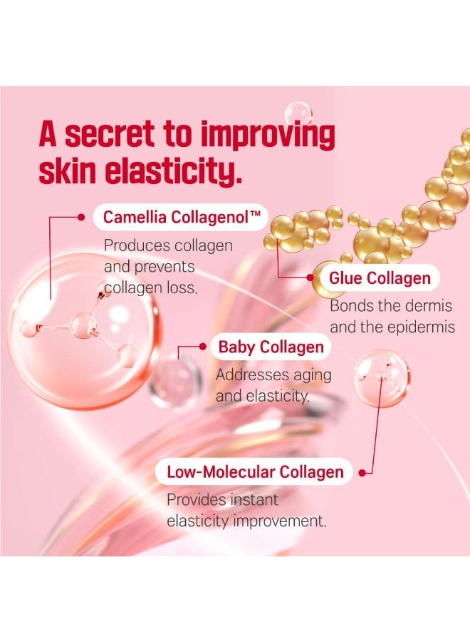 ROUND LAB Camellia Deep Collagen Firming Cream 50ml - Image 5