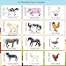 RUSON 12 Pcs Farm Animals Figures Toys Realistic Mini Farm Barn Animal Figurines Cake Topper Toy Set Christmas Birthday Easter Egg Gift Party Supplies for Kids Toddlers - Image 4
