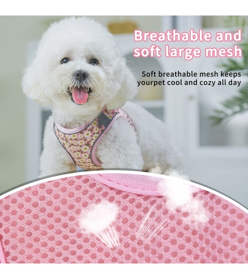 Rose Red Adjustable Breathable Mesh Pet Leash Set For Small Dogs Cats - Image 3