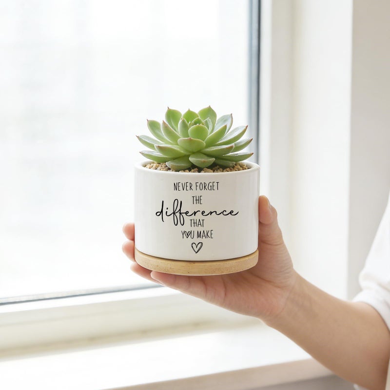 DOFAFALA Funny Planter Succulent Flower Pot, Flower Cactus Planter Gifts, Appreciation Inspirational Gifts for Plant Lovers Women Men Coworkers Home Office Decor (No Plants) - Image 3