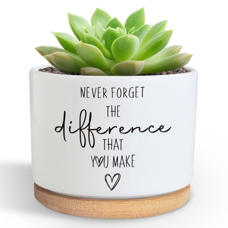 DOFAFALA Funny Planter Succulent Flower Pot, Flower Cactus Planter Gifts, Appreciation Inspirational Gifts for Plant Lovers Women Men Coworkers Home Office Decor (No Plants) - Image 1