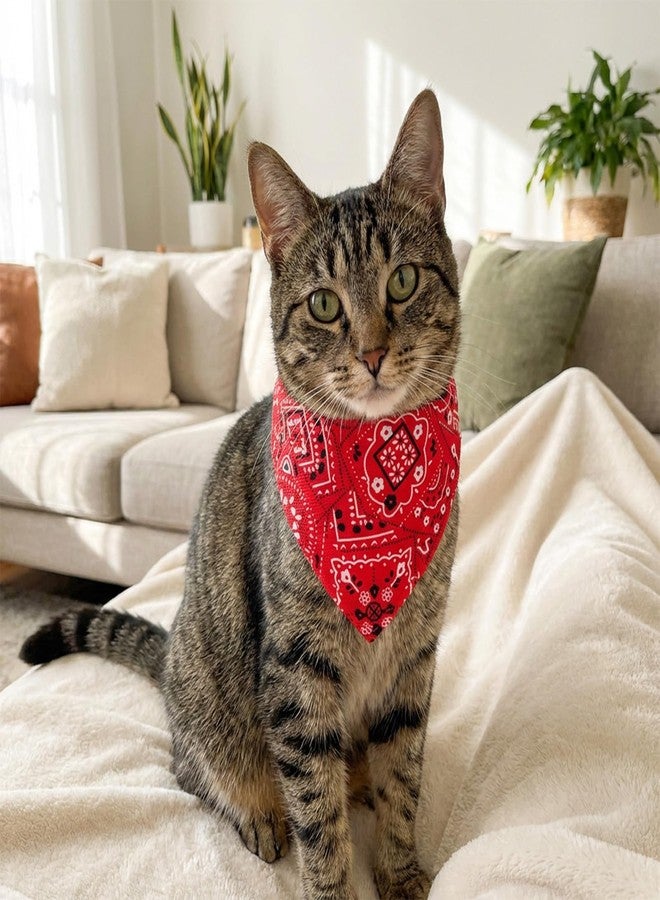 HaiFafafaing 6 Pcs Cat Tie Collars with Removable Bow Tie, Cat Bandana, Adjustable Fabric Collars for Cats, Kittens, Puppies and Small Dogs - Image 5