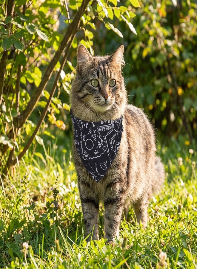 HaiFafafaing 6 Pcs Cat Tie Collars with Removable Bow Tie, Cat Bandana, Adjustable Fabric Collars for Cats, Kittens, Puppies and Small Dogs - Image 4