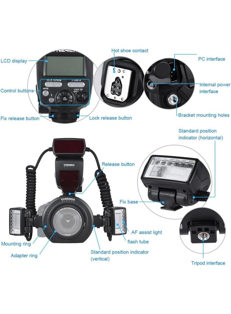 YONGNUO YN24EX YN-24EX 24EX, TTL Macro Ring Flash LED Macro Flash Speedlite, with 2pcs Flash Head and 4pcs Adapter Rings for Canon - Image 4