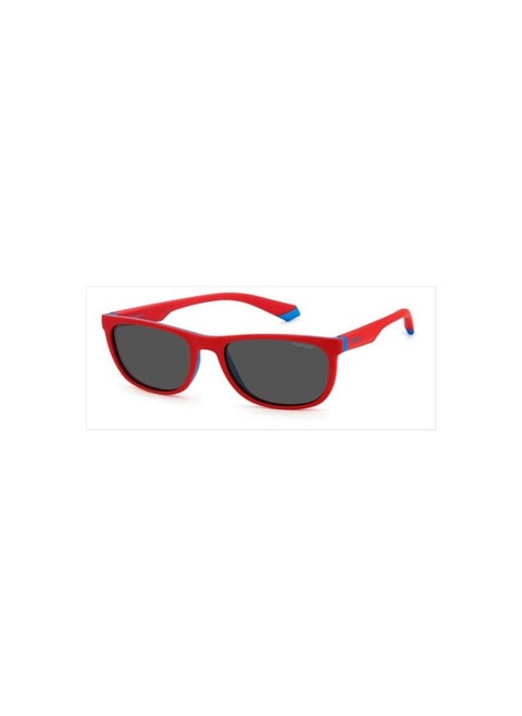 Sunglasses Model PLD 8049/S Color 4E3/M9 Size 49 mm