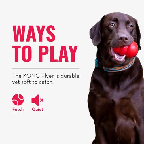 KONG Flyer for Dogs, Durable Classic Natural Rubber Flying Disc, Frisbee for Outdoor Fetch, Safer Than Traditional Frisbee, Promotes Exercise, Dynamic Rebound for Interactive Play, Large - Image 5