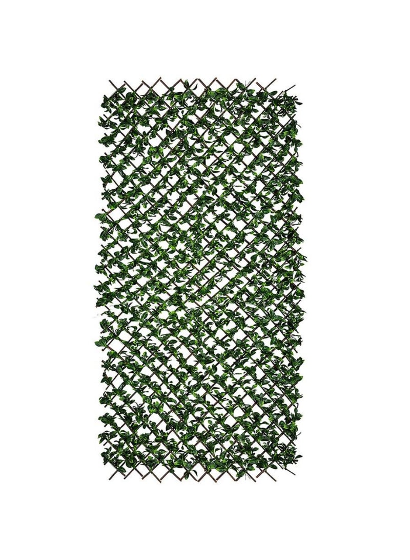 Fence Generic 2 X 1 M