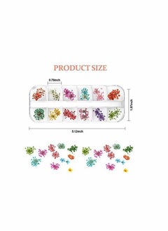 24 Colors Nail Dried Flowers, 3d Art Sticker for Tips Manicure Decor Mixed Accessories, Starry Leaves Flower (2 Boxes)