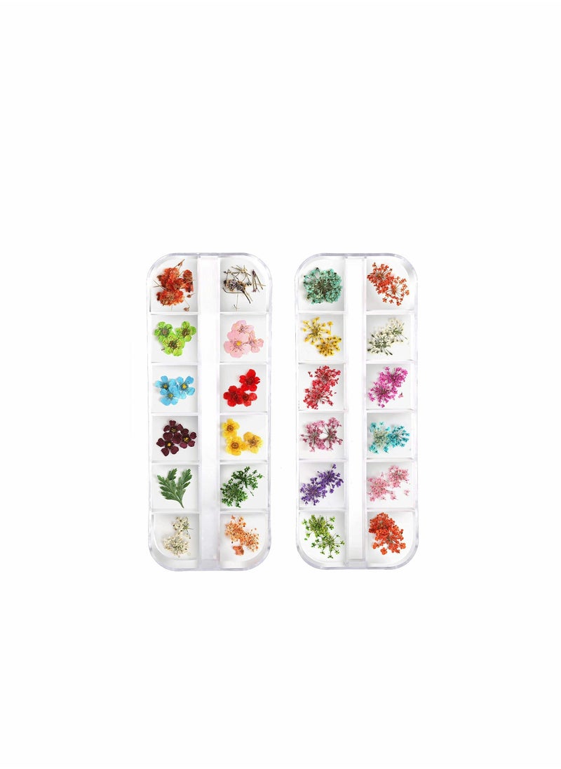 Generic - 24 Colors Nail Dried Flowers, 3d Art Sticker for Tips Manicure Decor Mixed Accessories, Starry Leaves Flower (2 Boxes) - Image 1