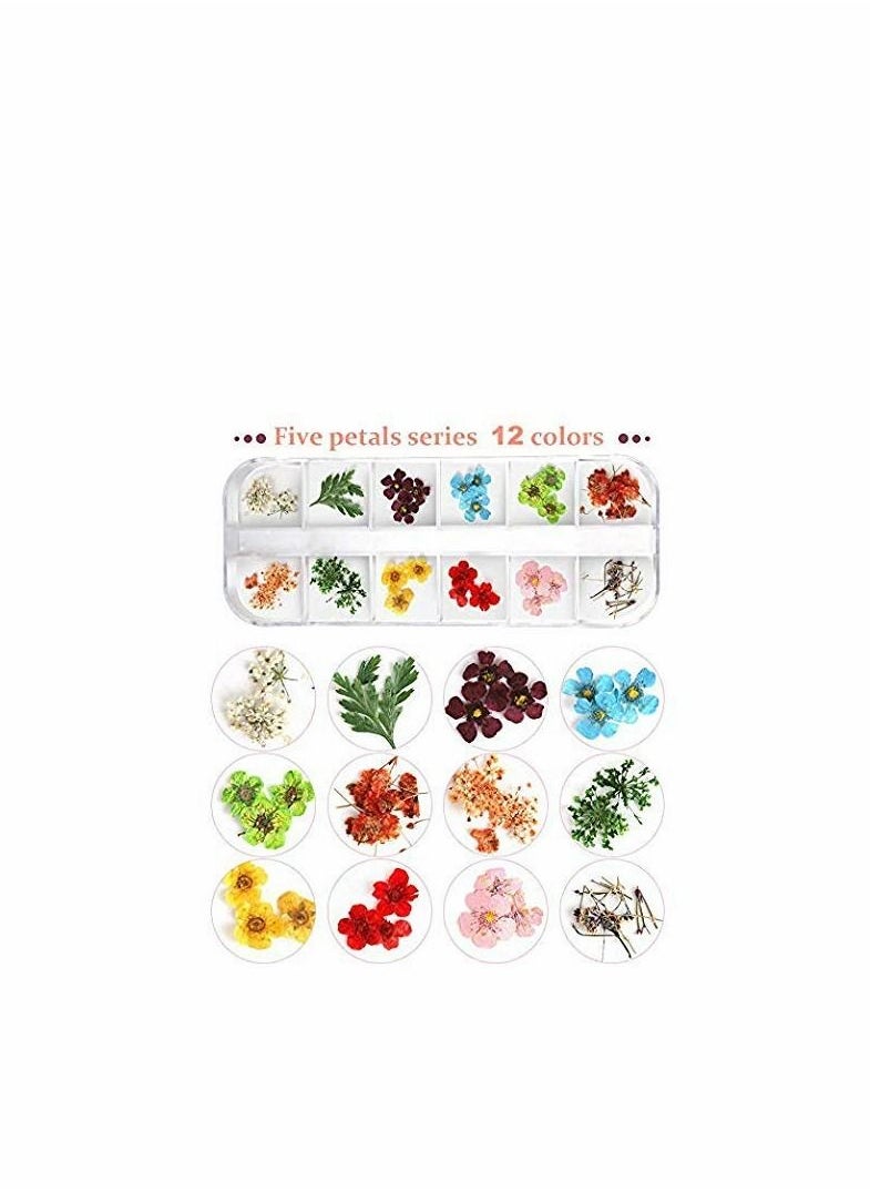 Generic - 24 Colors Nail Dried Flowers, 3d Art Sticker for Tips Manicure Decor Mixed Accessories, Starry Leaves Flower (2 Boxes) - Image 1