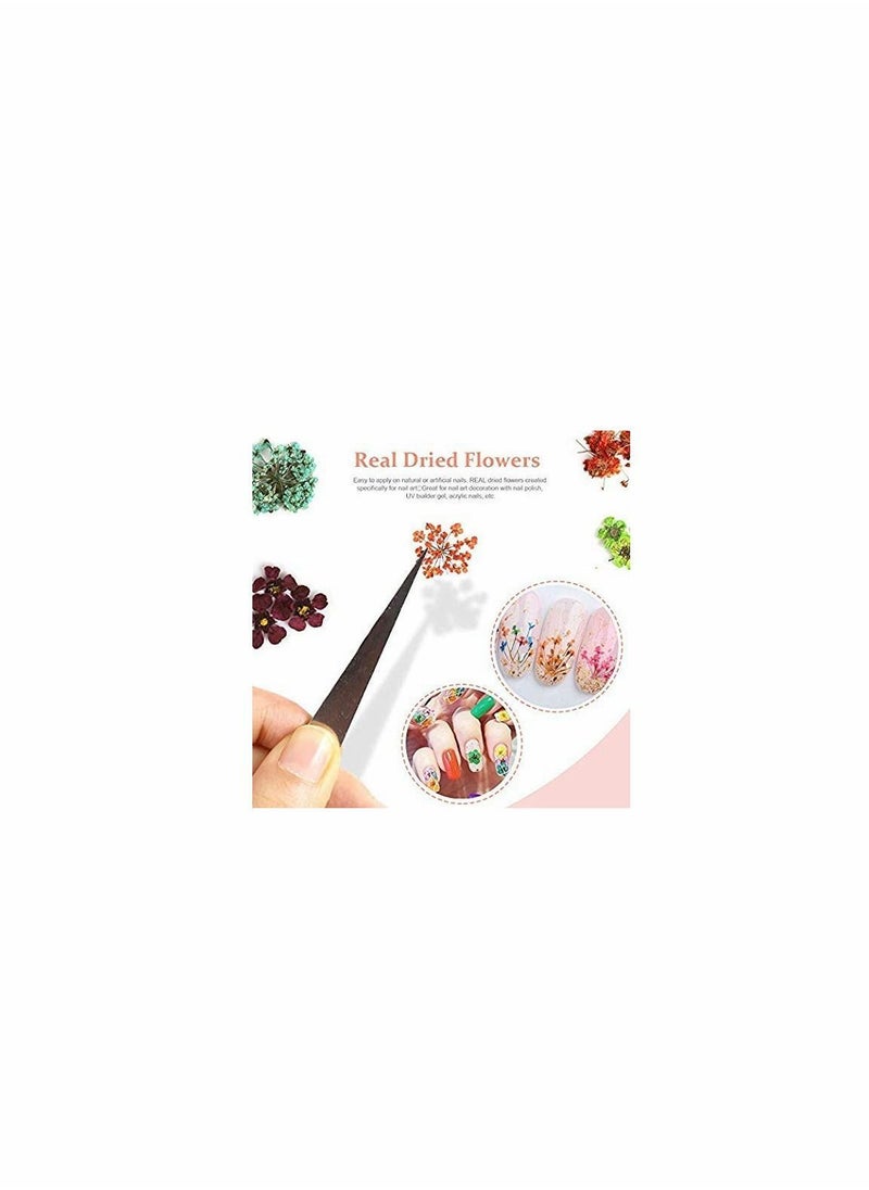 Generic - 24 Colors Nail Dried Flowers, 3d Art Sticker for Tips Manicure Decor Mixed Accessories, Starry Leaves Flower (2 Boxes) - Image 1