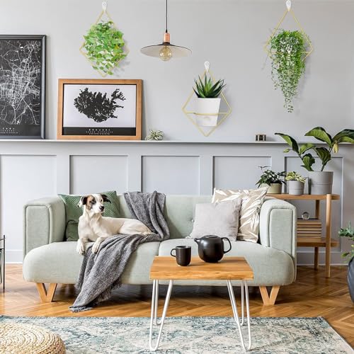 Koalaime 3 Sets Wall Planters for Indoor Plants Geometric Hanging Planters for Indoor Plants - Self-Watering Flower Pots with Black Metal Holder, Mounted Succulent Planter, 5" Black Plant Pot - Image 2