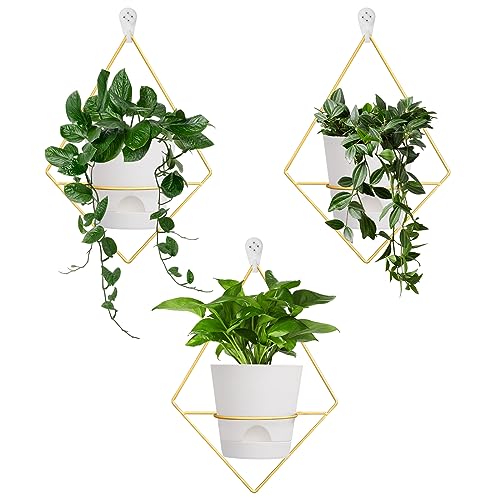 Koalaime 3 Sets Wall Planters for Indoor Plants Geometric Hanging Planters for Indoor Plants - Self-Watering Flower Pots with Black Metal Holder, Mounted Succulent Planter, 5" Black Plant Pot - Image 1