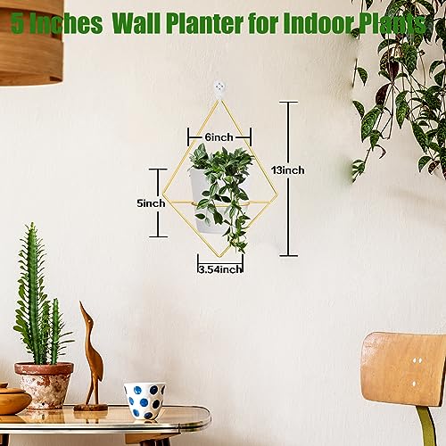 Koalaime 3 Sets Wall Planters for Indoor Plants Geometric Hanging Planters for Indoor Plants - Self-Watering Flower Pots with Black Metal Holder, Mounted Succulent Planter, 5" Black Plant Pot - Image 3