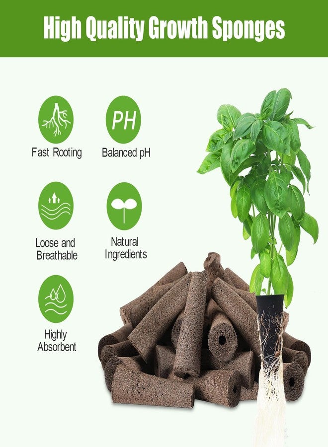 DRYADES Grow Sponges and Nutrients for Hydroponics Plant Food Compatible with Aero Garden and All Brands - Seed Pods Lables and Indoor Plant Fertilizer for Indoor Garden Hydroponics Growing System - Image 3