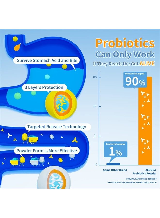 ZEBORA Probiotics for Women, Men and Kids, Prebiotics and Probiotics Powder for Digestive and Immune Gut Health - Support Healthy-Respiratory-System Gluten Free and Non GMO, 30 Packets - Image 5
