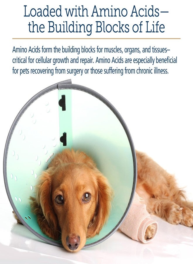 ركس فيتامينز مكمل غذائي للقطط والكلاب من آر إكس فيتامينز أمينو بي-بليكس - سائل فيتامين ب المركب مع الأحماض الأمينية للكلاب والقطط - محفز للشهية ومزيد للوزن - مكملات غذائية وفيتامينات - 8 أونصة - Image 5