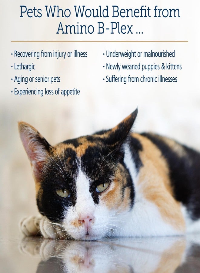 ركس فيتامينز مكمل غذائي للقطط والكلاب من آر إكس فيتامينز أمينو بي-بليكس - سائل فيتامين ب المركب مع الأحماض الأمينية للكلاب والقطط - محفز للشهية ومزيد للوزن - مكملات غذائية وفيتامينات - 8 أونصة - Image 4