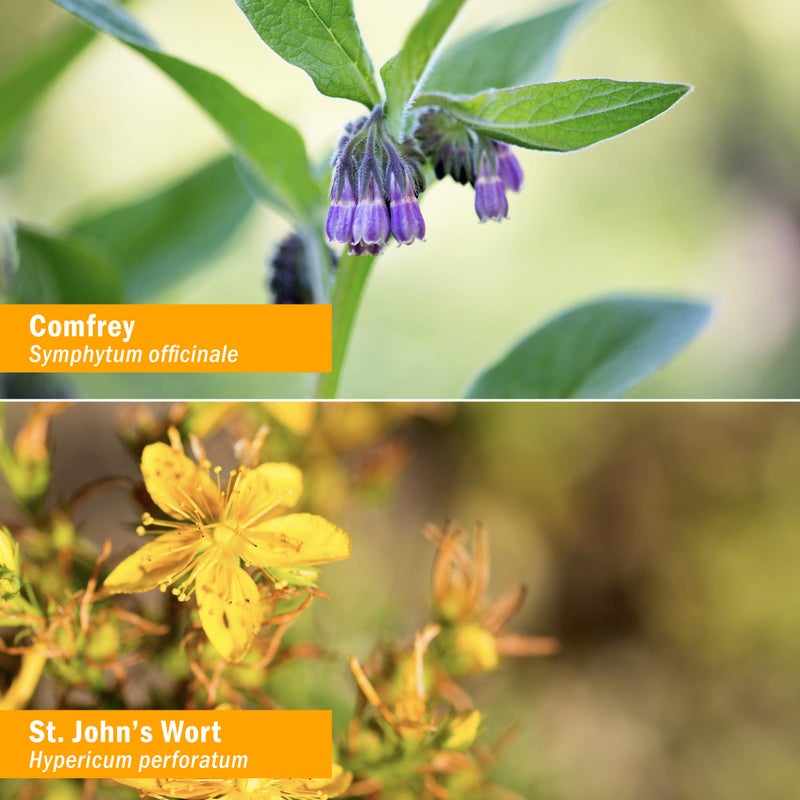 Herb Pharm Original Salve with Comfrey and St. John's Wort - 24 Grams - Image 2