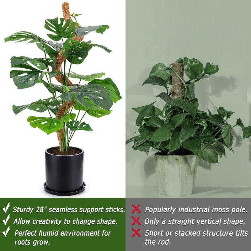 Soupiar 2-Pack 28" Bendable Moss Pole for Monstera, Rust-Free Aluminum Core Plant Support Stakes, Sturdy Stakes to Train & Grow Indoor Climbing Plants Upright (13.2ft Jute Rope Included) - Image 5