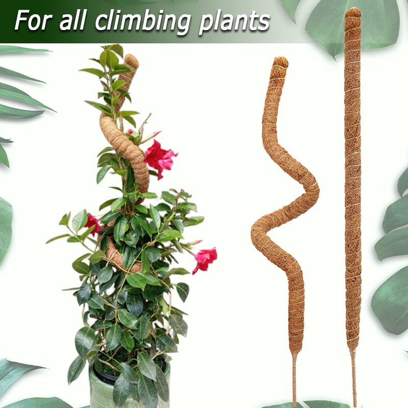 Soupiar 2-Pack 28" Bendable Moss Pole for Monstera, Rust-Free Aluminum Core Plant Support Stakes, Sturdy Stakes to Train & Grow Indoor Climbing Plants Upright (13.2ft Jute Rope Included) - Image 4